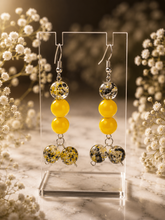 Load image into Gallery viewer, Earring Special

