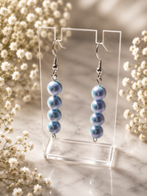 Load image into Gallery viewer, Earring Special
