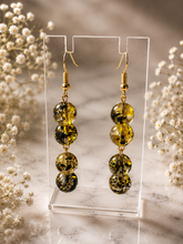 Load image into Gallery viewer, Earring Special
